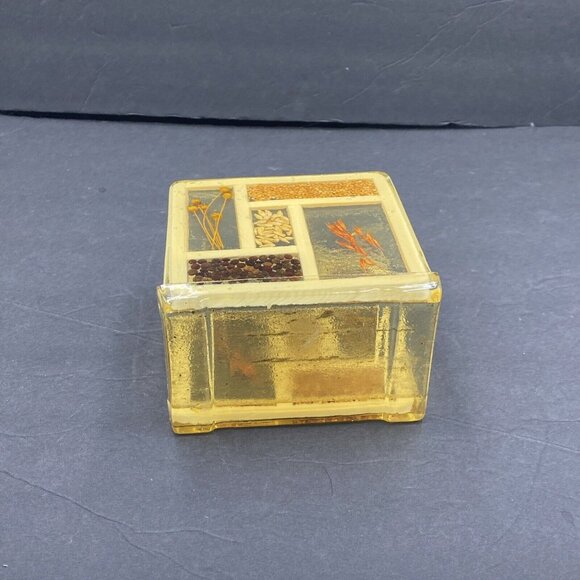 Vtg Napkin Holder 70's Lucite Resin Acrylic Seeds Flowers Farmhouse Granola - Picture 6 of 12